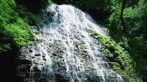 高端先进